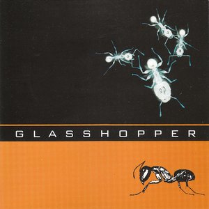 Glasshopper