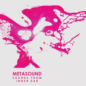 Image for 'metasound'