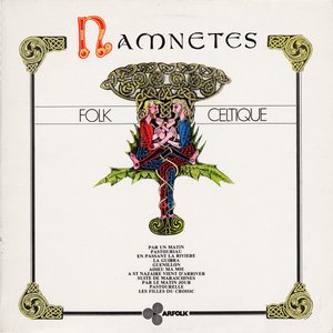 Folk Celtique, Vol. 2