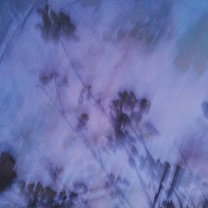 Lost In The Fog 的头像