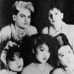 Zingari 的头像