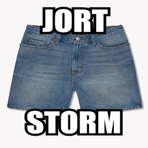 Jort Storm - Single