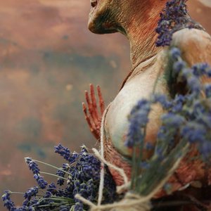 An Adornment of Light