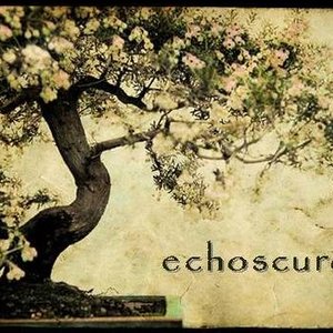 “echoscuro”的封面