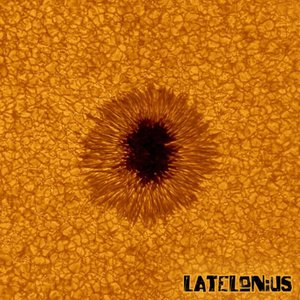 Latelonius