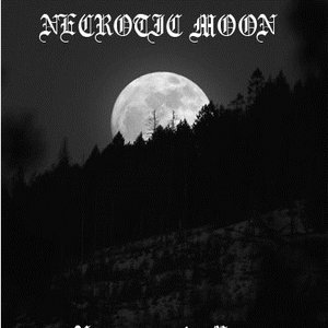 “Necromancer's Moon”的封面