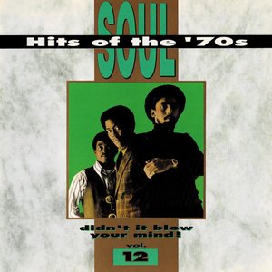 Soul Hits Of The '70s - Didn't It Blow Your Mind, Vol. 12