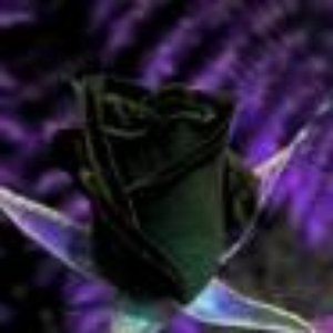 Blazethestriker 的头像