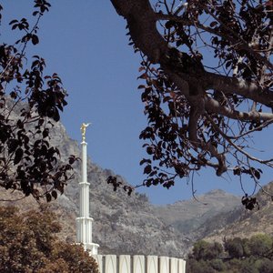 Avatar for Priesthood Choir from Provo MTC