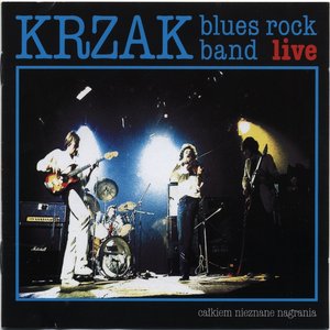 blues rock band live