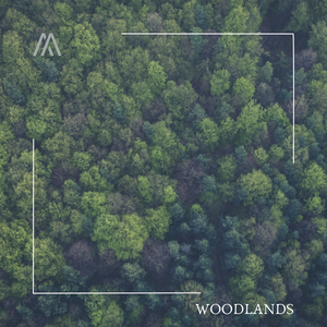 Woodlands