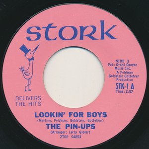 Lookin' For Boys