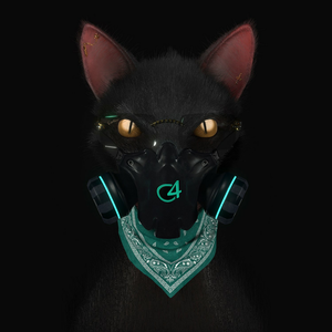 Gato de Noche 的封面
