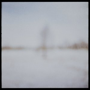 A Mind of Winter