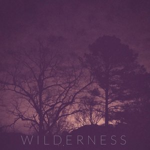 Wilderness - Single