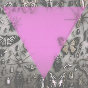 Survival Is An Act Of Defiance