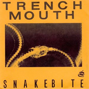 Snakebite