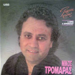 Image for 'Νίκος Τρομάρας'