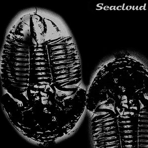 Fossilized