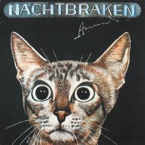 nachtbraken