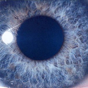 Moontower [Explicit]