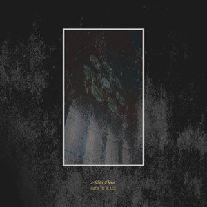 Back to Black - Single