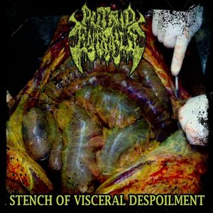 Stench Of Visceral Despoilment