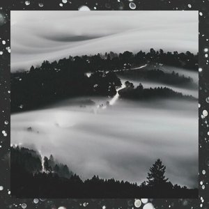 Till The Fog Clears