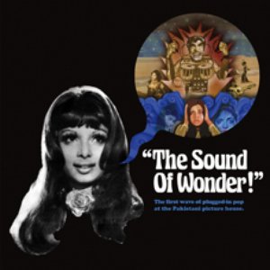 The Sound Of Wonder! Rare Electronic Pop From The Lollywood Vaults 1973-1980