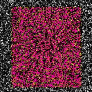 H-H