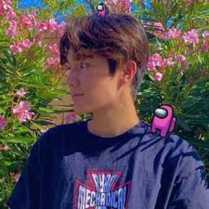 Avatar for 🌸1nonly🌸 (@n8thanfuller)