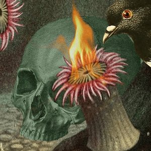 Dead-Tired