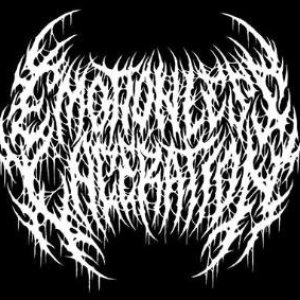 Emotionless Laceration 的头像