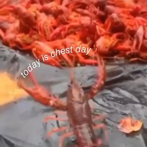 Song For Facundex 2