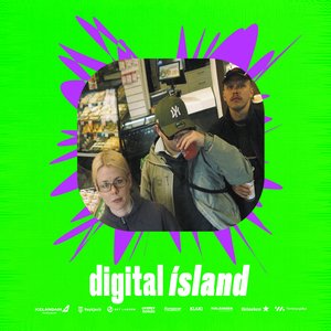digital ísland 的头像