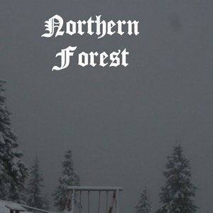 Winter Grey Sky