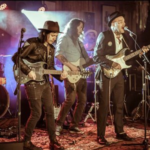 Avatar for Lilla Krogen Band