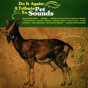 Do It Again: A Tribute To Pet Sounds