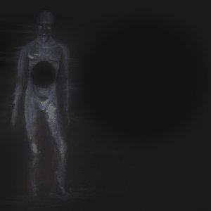 Echo in the Conscious Hollow