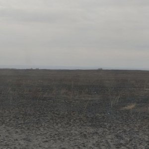 вместераздельно 的头像