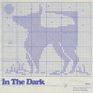 In the Dark