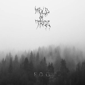 Fog