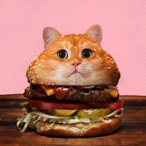 Meow (feat. Cowbla) - Single