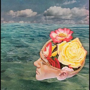 Yellow Rose