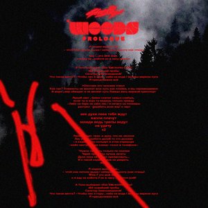 WOODS - Single