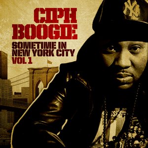 Sometime in New York City Vol 1