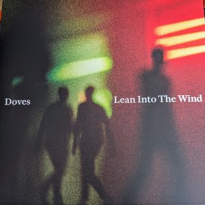 Cally / Lean Into The Wind