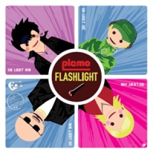 Image for 'flashlight'