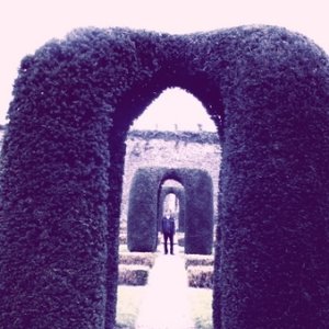 Carlos Nilmmns 的头像