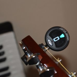 We'll Write In Standard When We're Dead - Single